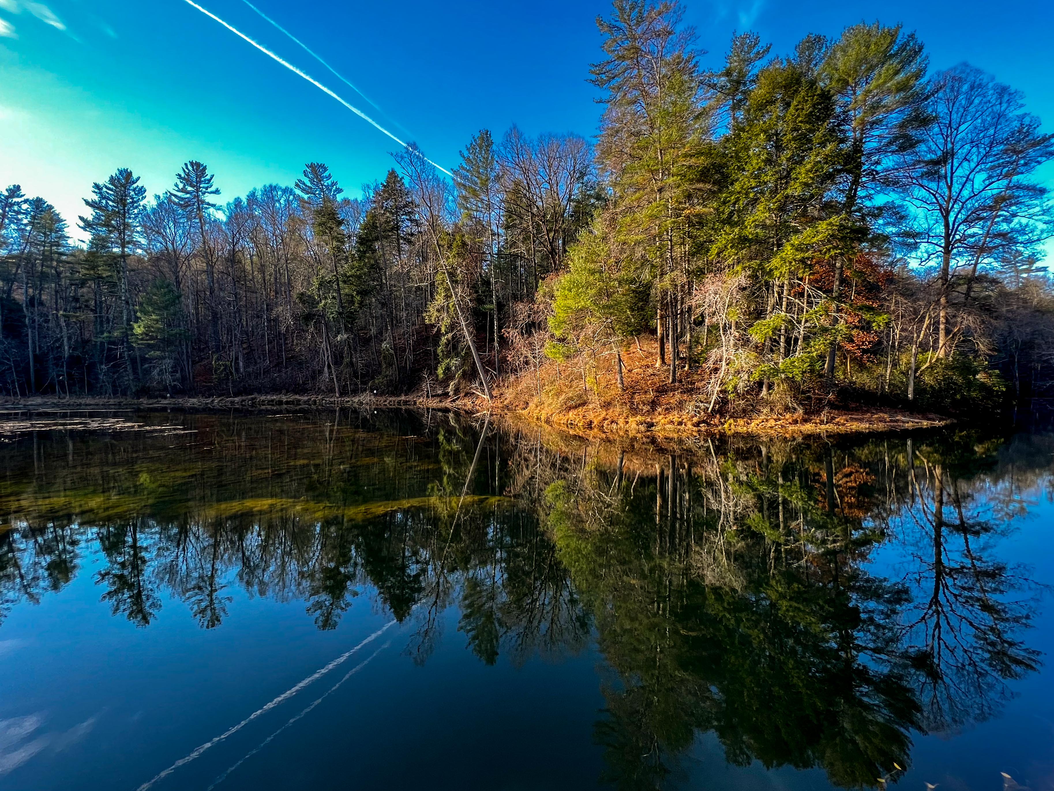 Trees and bushes on a shoreline with a bright blue sky and all reflected in the water. Contrail in the sky reflected in the still water